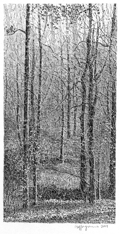 andy's woods iv 2001.jpg